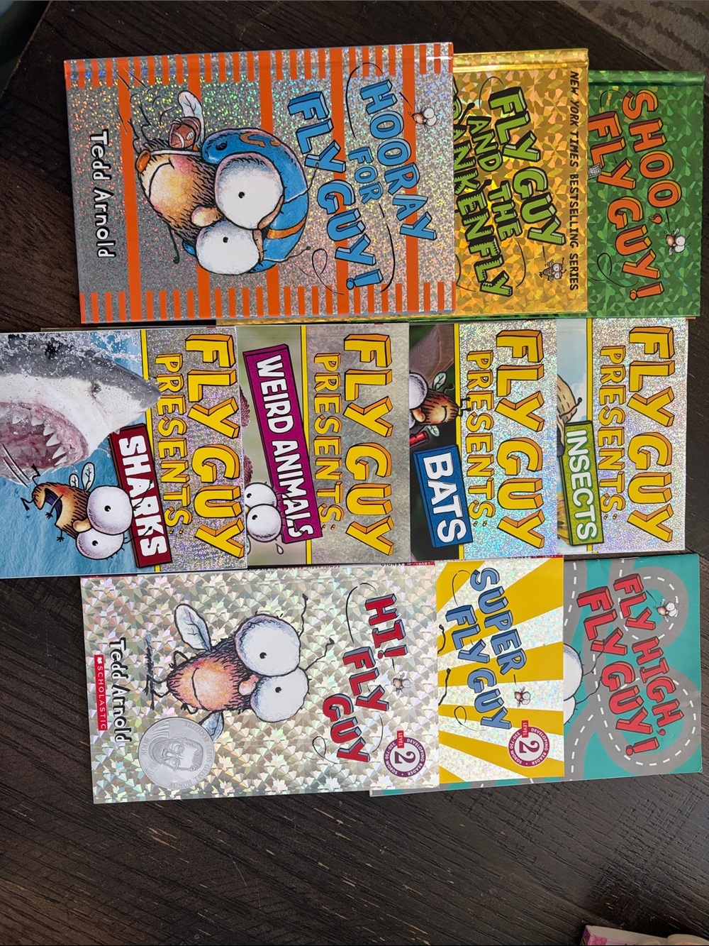 Fly Guy Chapter Book Lot